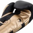 Photo4: VENUM Boxing Gloves ELITE Black / Gold  (4)