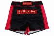 Photo4: BULL TERRIER Ladies Fight Shorts FMN Black/Pink (4)