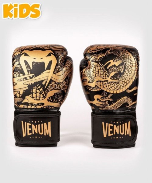 Photo1: VENUM Kids Boxing Glove DRAGON`S FLIGHT Black/Bronze (1)