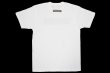 Photo2: BULL TERRIER T-Shirt WBOX White (2)
