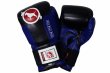 Photo2: BULL TERRIER Boxing Gloves TREINAMENTO 3.0 Black/Blue (2)