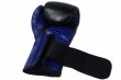 Photo4: BULL TERRIER Boxing Gloves TREINAMENTO 3.0 Black/Blue (4)