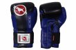 Photo1: BULL TERRIER Boxing Gloves TREINAMENTO 3.0 Black/Blue (1)