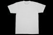 Photo2: BULL TERRIER T-Shirt 4BOX White (2)