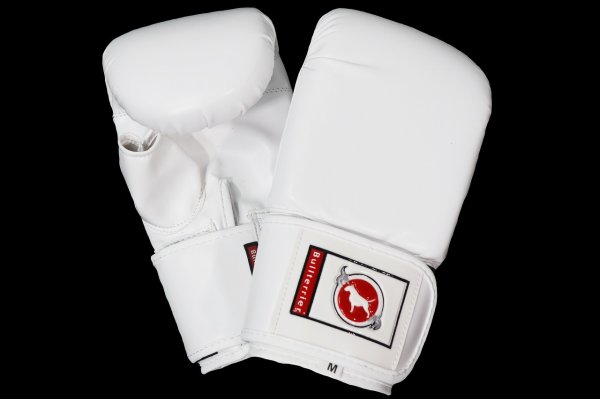 Photo1: BULL TERRIER Punching Gloves 2.0 White (1)