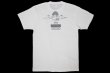 Photo2: BULL TERRIER T-Shirt JAPAN White (2)