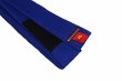 Photo2: BULLTERRIER Jiu Jitsu Belt BASIC 2.0 Blue (2)