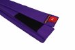 Photo2: BULLTERRIER Jiu Jitsu Belt BASIC 2.0 Purple (2)