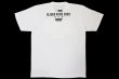 Photo2: BULL TERRIER x KLEBER KOIKE Kleber Koike Erbst T-Shirts White (2)