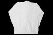 Photo3: BULLTERRIER Jiu Jitsu Gi STANDARD R 2.0 White (3)