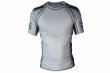 Photo1: BULL TERRIER Rashguard TRADITIONAL Short Sleeve Gray (1)