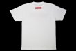 Photo2: BULL TERRIER T-Shirt WBOX White/Red (2)