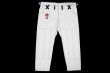 Photo4: BULLTERRIER Jiu Jitsu Gi TRIBAL R White (4)