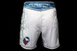 Photo3: BULL TERRIER Fight Shorts KARAJISHI White (3)