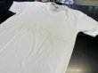 Photo2: Muscle Pharm　Tshirts V-Neck Embroidered White  SALE (2)