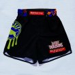 Photo10: BULL TERRIER Fight Shorts Dojo Outfitters Collab 2.0 Black (10)