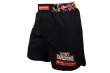 Photo2: BULL TERRIER Fight Shorts Dojo Outfitters Collab 2.0 Black (2)