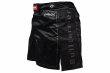 Photo1: BULL TERRIER Fight Shorts Short Fit TRADITIONAL Black/Black (1)