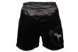 Photo3: BULL TERRIER Fight Shorts Short Fit TRADITIONAL Black/Black (3)