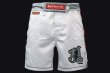 Photo2: BULL TERRIER Fight Shorts ASHURA White (2)