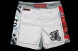 Photo4: BULL TERRIER Fight Shorts ASHURA White (4)