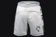 Photo3: BULL TERRIER Fight Shorts ASHURA White (3)