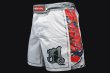 Photo1: BULL TERRIER Fight Shorts ASHURA White (1)